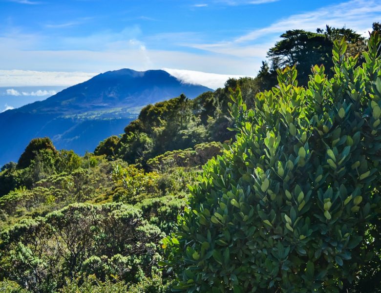 Costa Rica en famille : découvrez ce merveilleux pays !