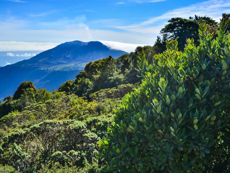 Costa Rica en famille : découvrez ce merveilleux pays !